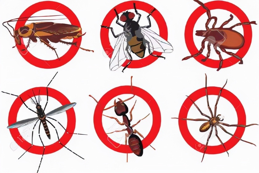 有害生物防制员证哪里考,有害生物防制员证书哪里考