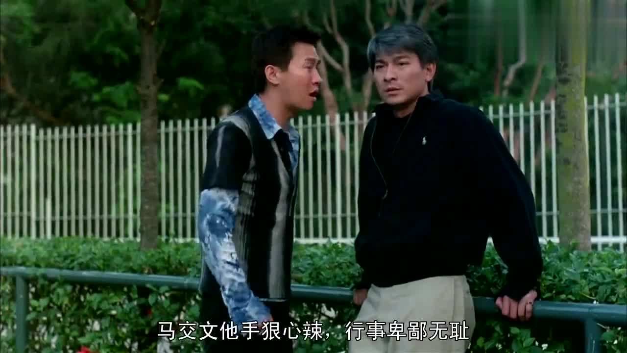 刘若英刘德华经典片段,刘若英刘德华经典作品