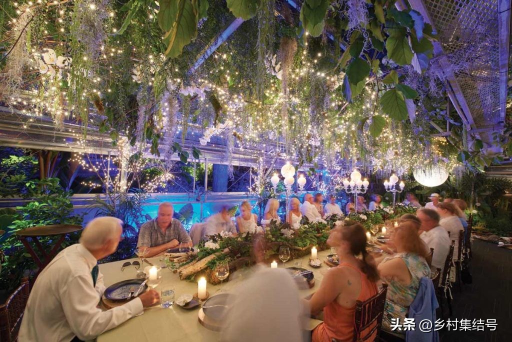 美国夏日梦幻农场：以大丽花为主题的鲜花园艺农场，如梦如画！