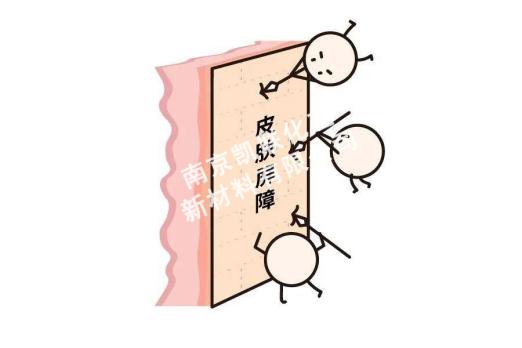 护肤品里的油脂有哪些成分,化妆品中的油脂是什么成分