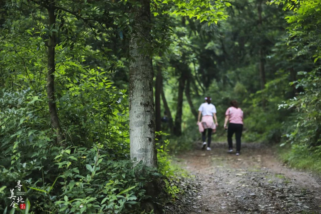 北仑去哪爬山,北仑爬山路线