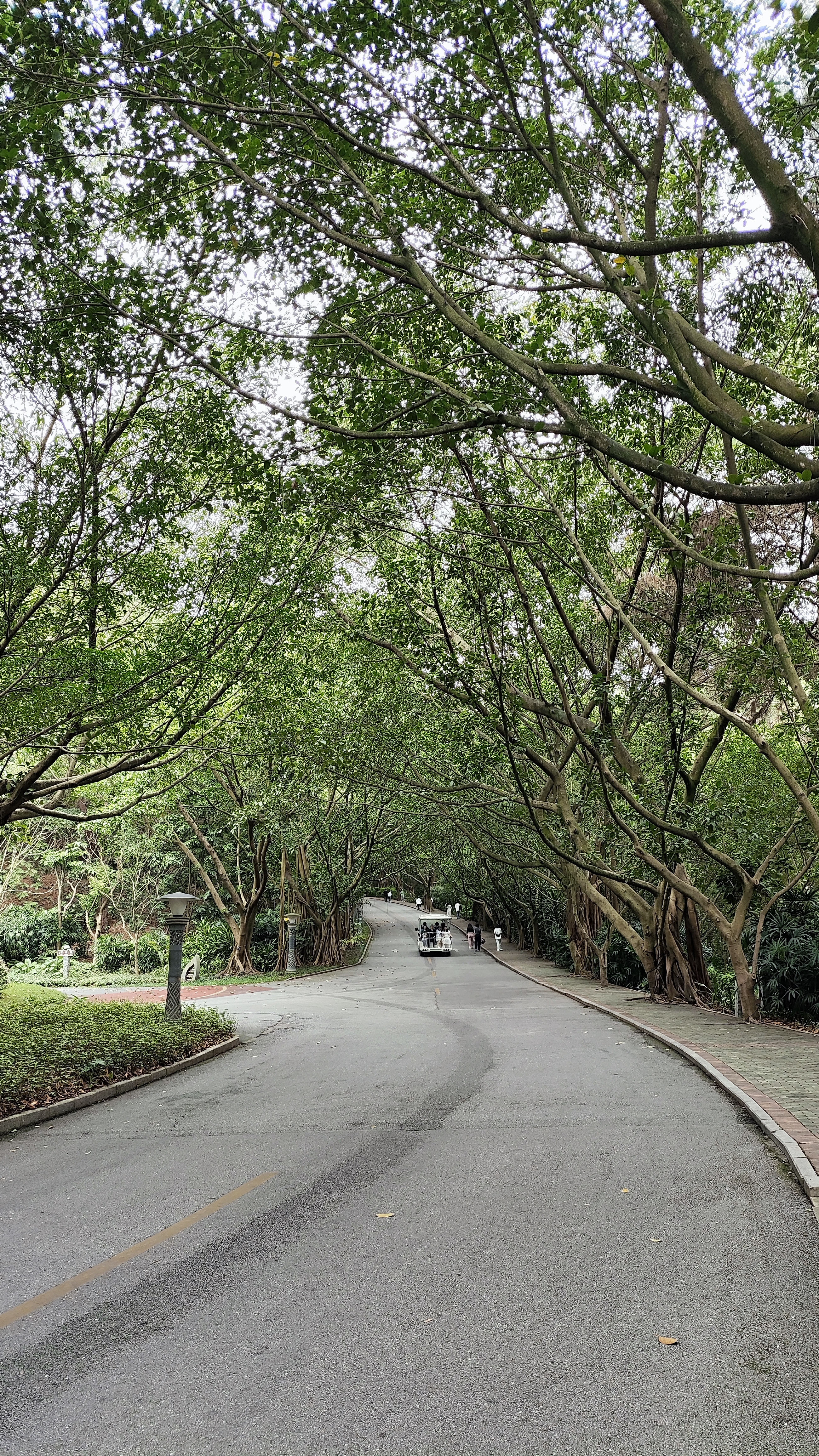 去外省穷游三五天6千块够了吗,云南5天穷游多少钱