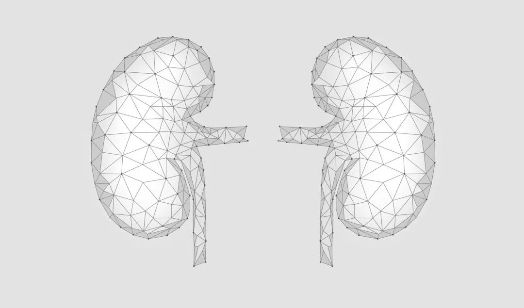 小雪节气如何情志养生,小雪节气如何养生滋补