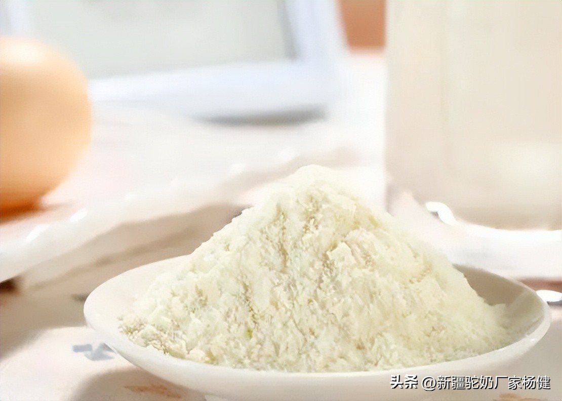 骆驼奶粉的好处你知道多少,关于骆驼的这些小知识你知道吗