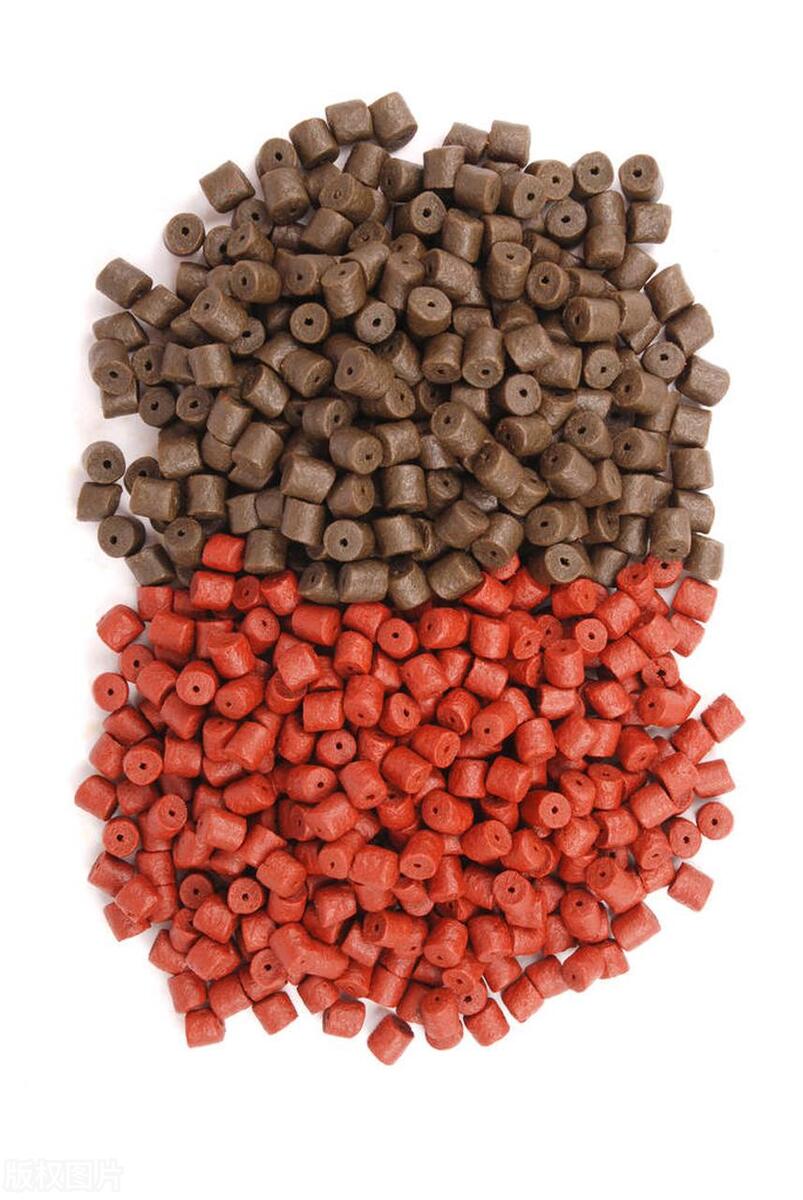 丸九饵料为什么不能揉打,丸九饵料为什么好用