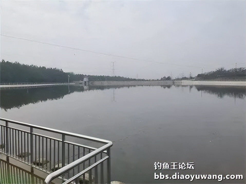 钓鱼王王者风范，拿捏多鱼种轻松