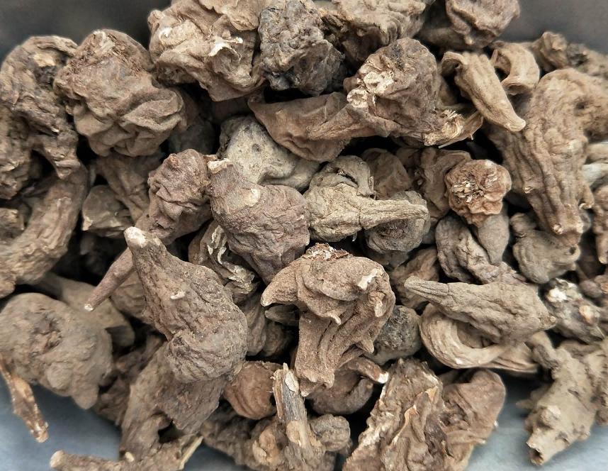 中药变毒物,中药变“毒药”