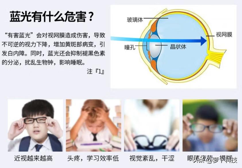 爱德华医生天使之光,爱德华医生天使之光怎么样