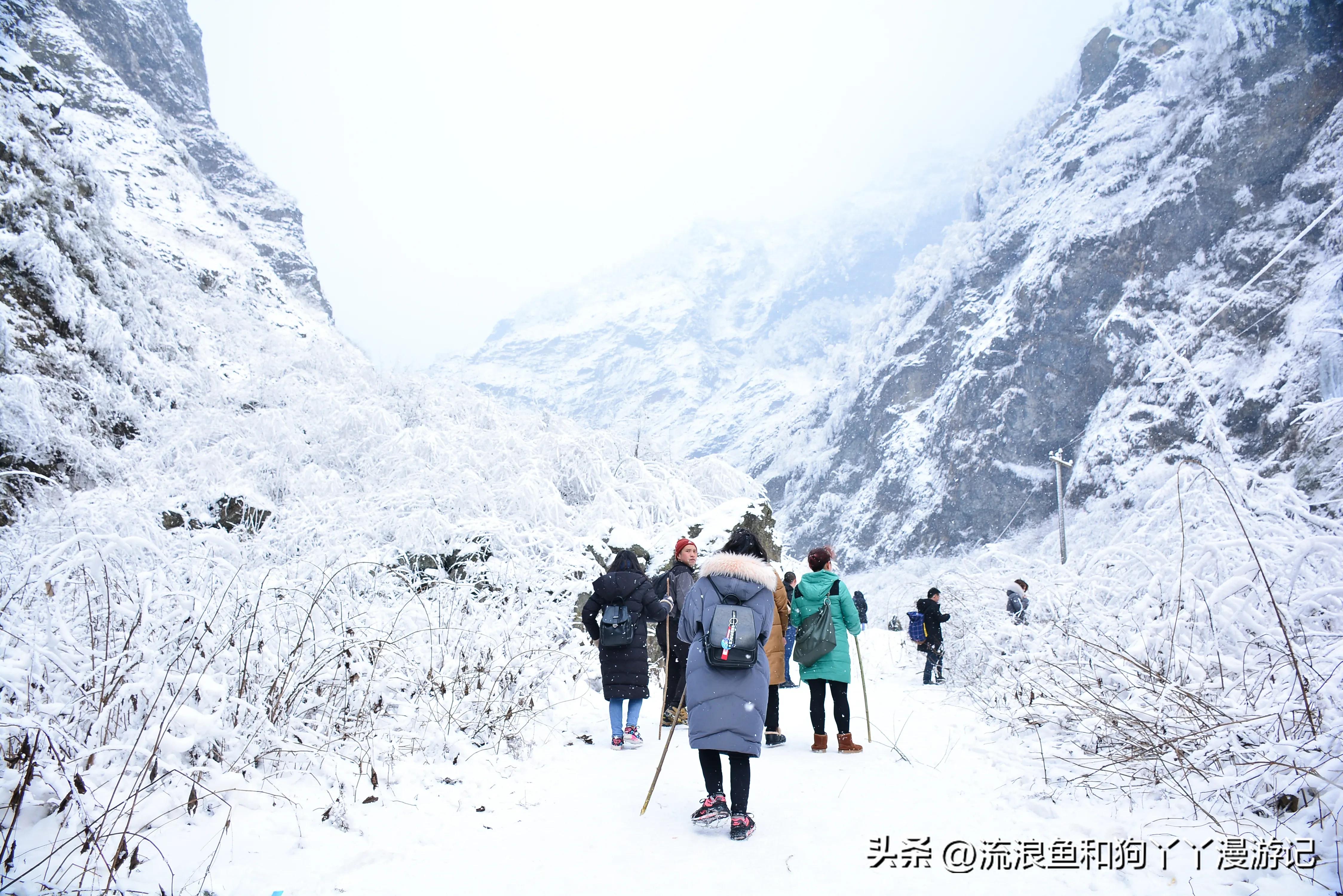 四月份成都近郊一日游好去处,2022成都近郊看雪一日游最佳去处
