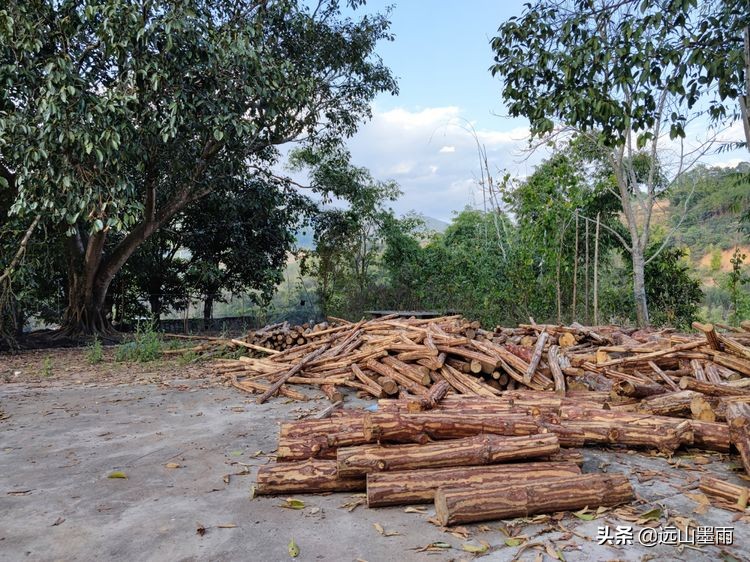 溪流潺潺、白茅飘飘，鲟鱼肥硕、菜蔬新鲜，景谷铁厂河畔的慢时光