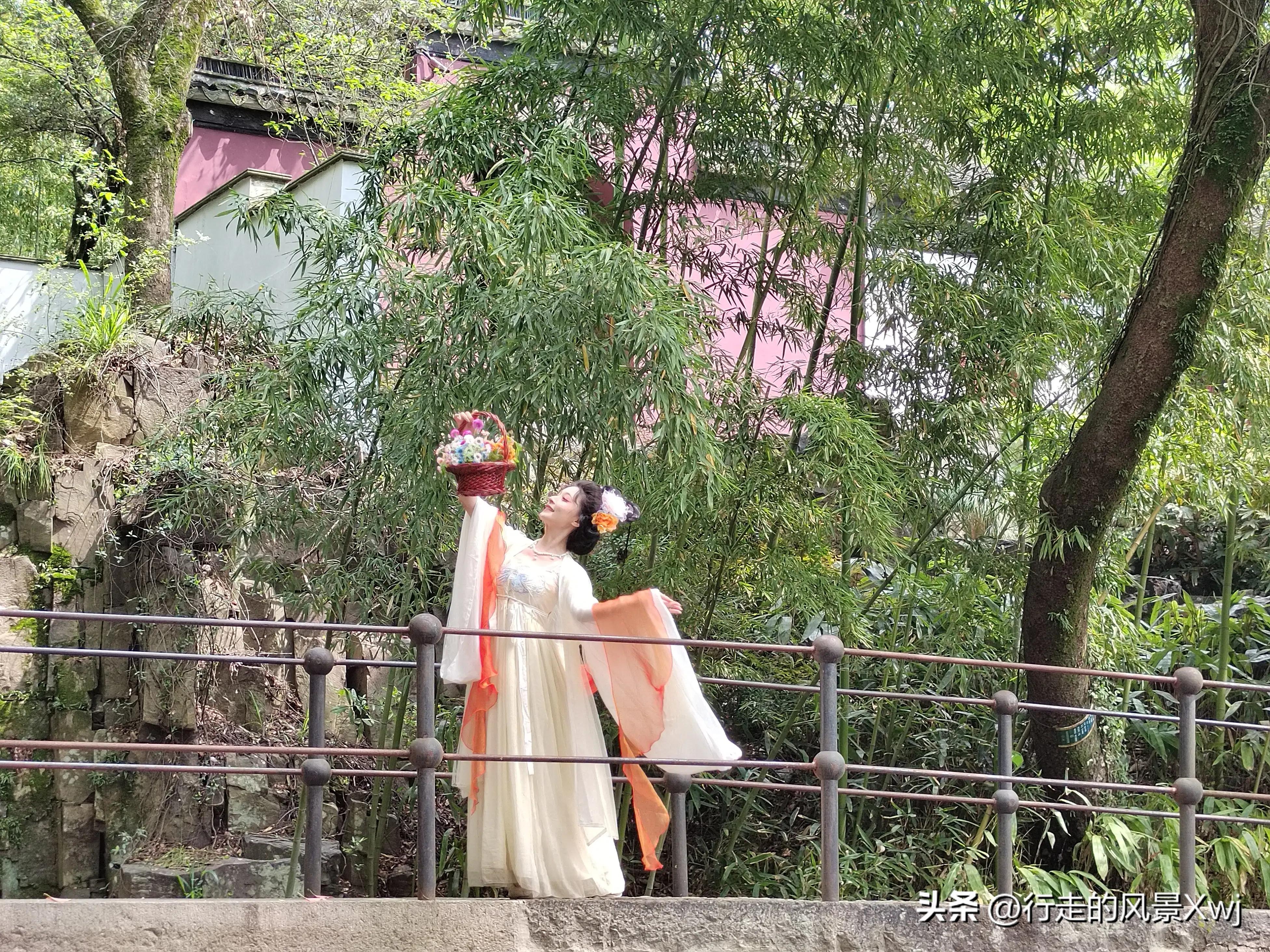 烟花三月下江南猜生肖,苏州江南农耕文化园烟花