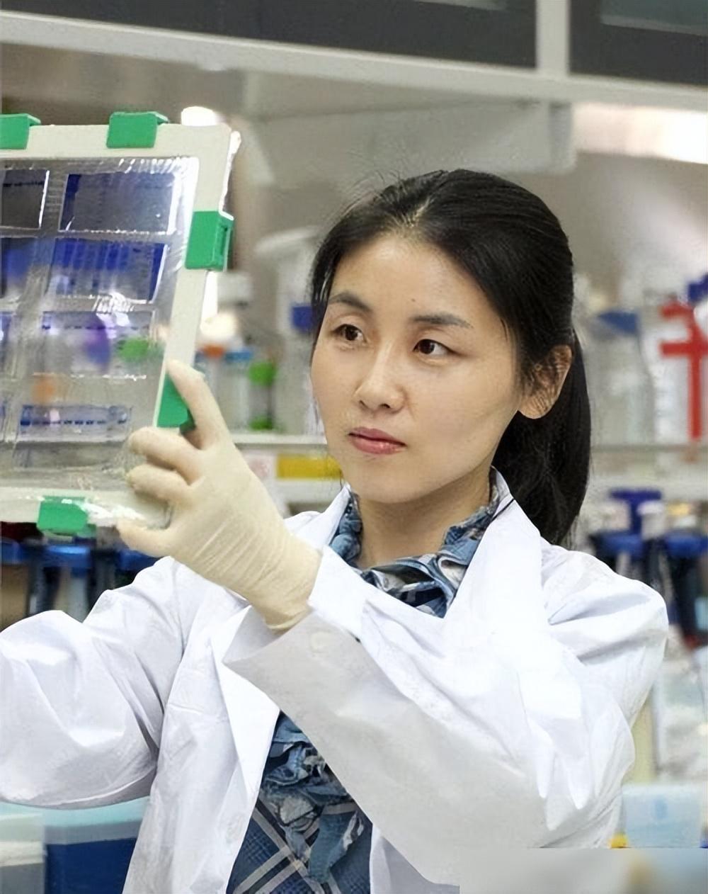 许晨阳离开北大留下三句话是什么,许晨阳离开北大的数学之美原因