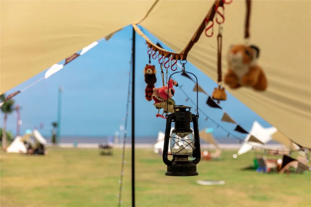 珠海长隆竟然开露营！海边下午茶、篝火音乐会、还能撸火烈鸟