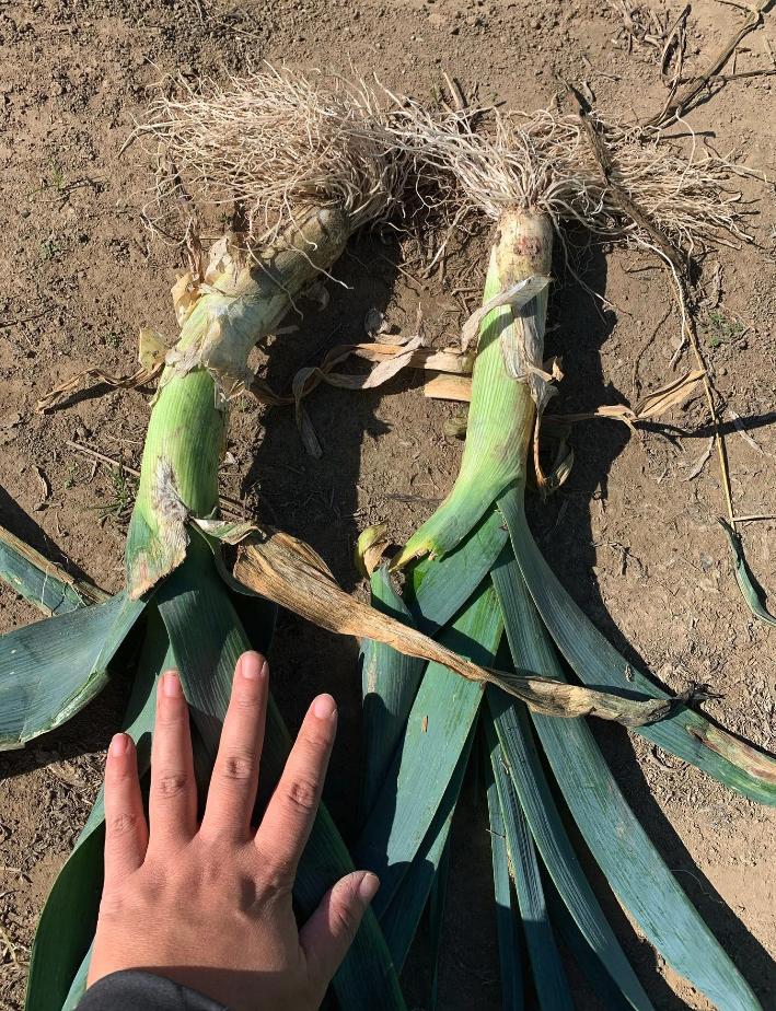 长得丑被抛弃,长得丑被人抛弃