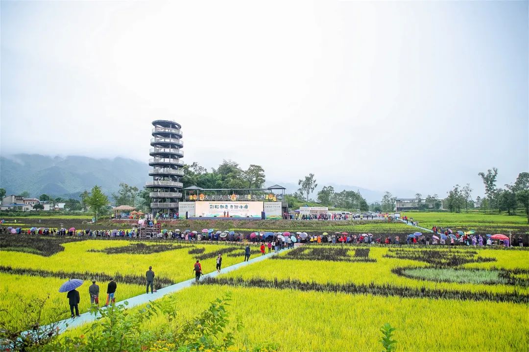 未来5年大足规划,大足未来的改变