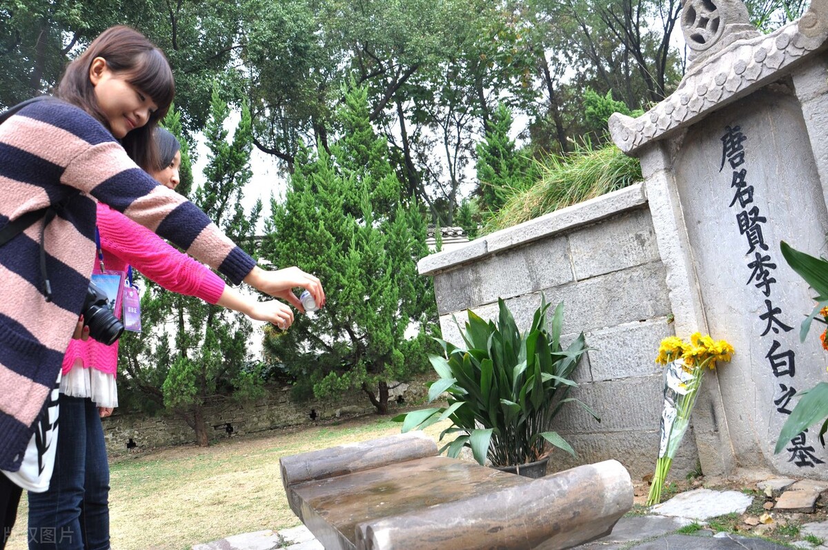 茶心普洱,茶心和茶碎