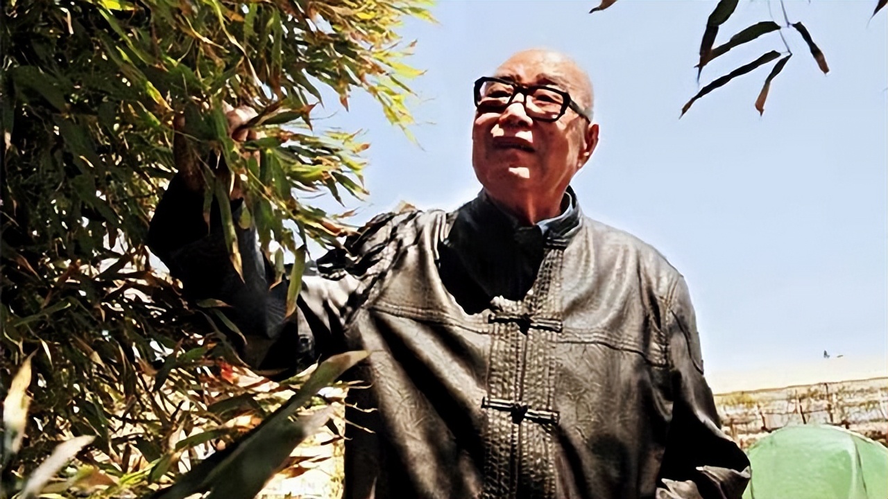 1953年，志愿军师长负伤后回家探亲，发现拉车的车夫就是父亲