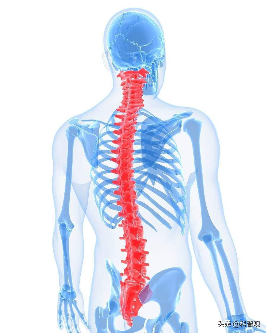 手术刀被垄断,美国垄断医疗器械