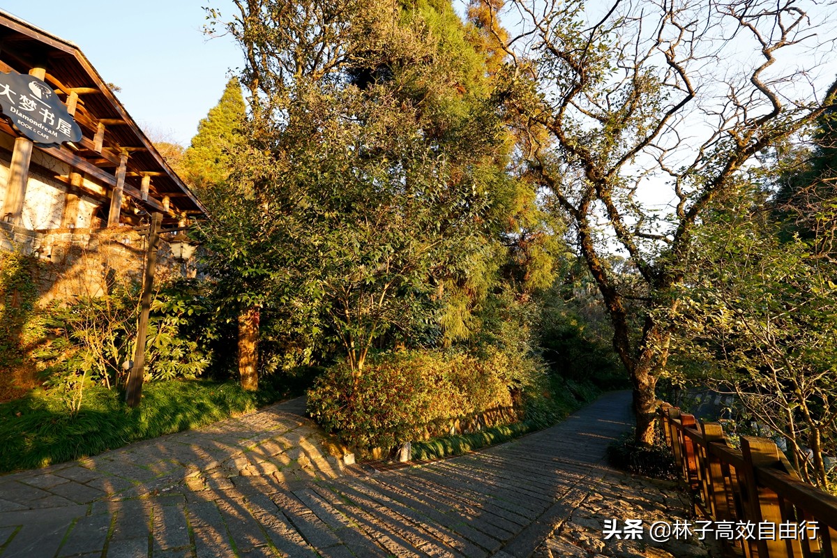 福州有哪些特色玩的,福州市区游玩攻略