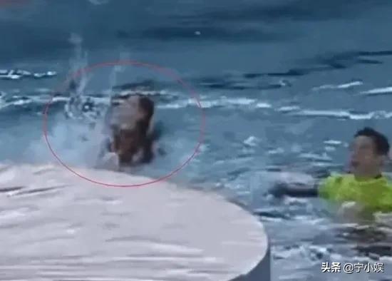 盘点被节目组整惨的明星,盘点那些明星在综艺上出过的意外