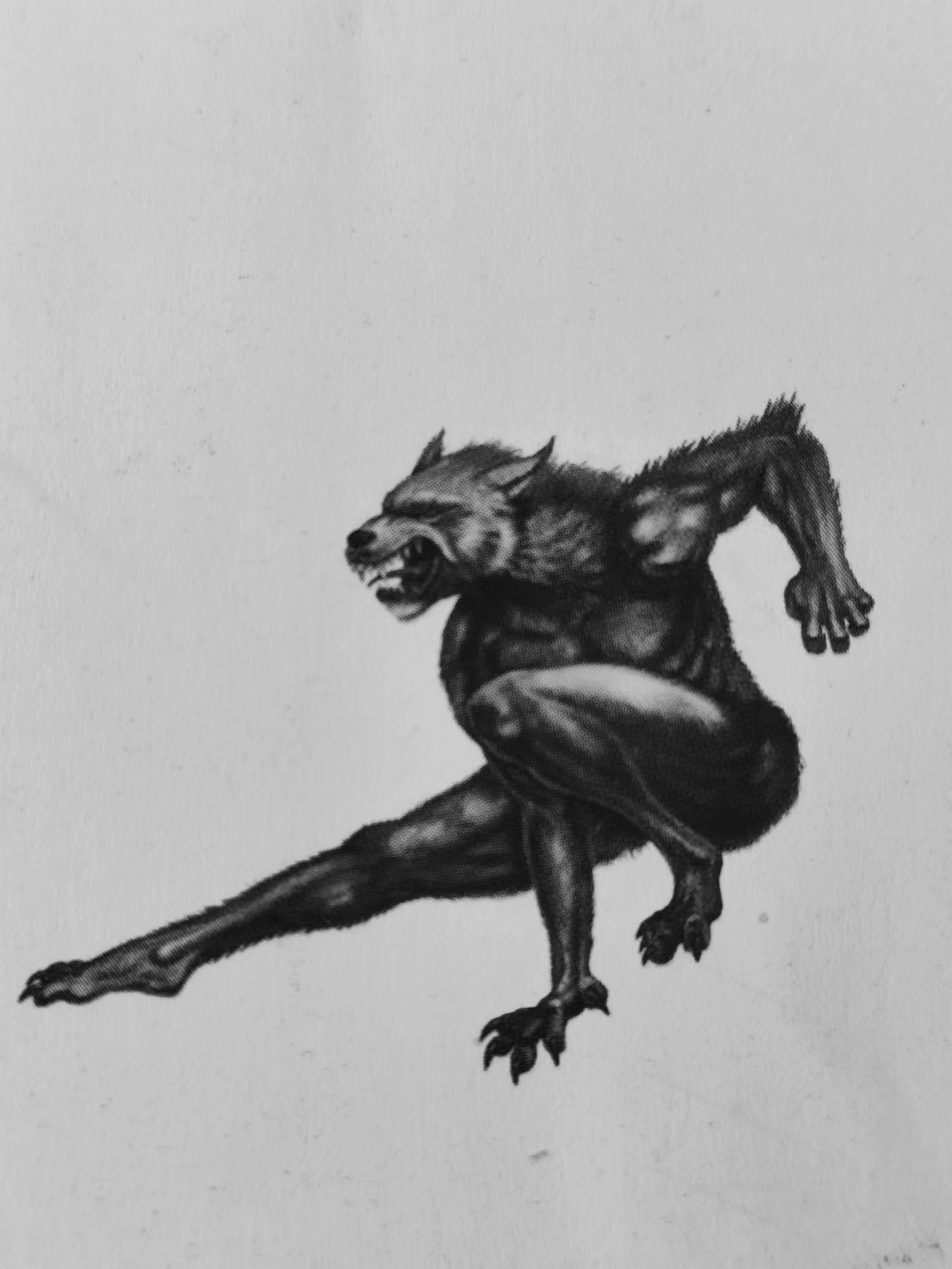 世人皆知狼人，那各位可曾听闻过犬人？