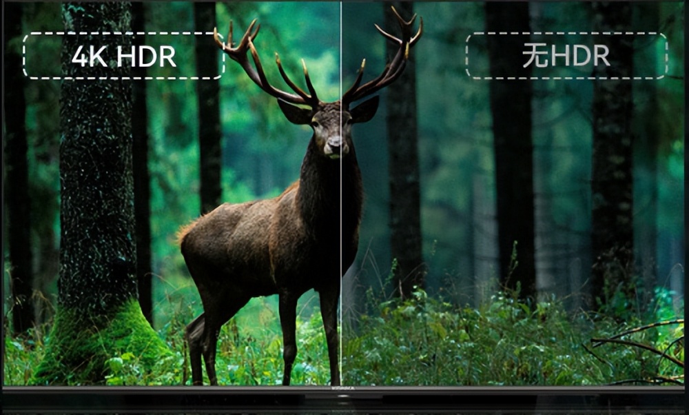 宅家看球,宅家看球赛