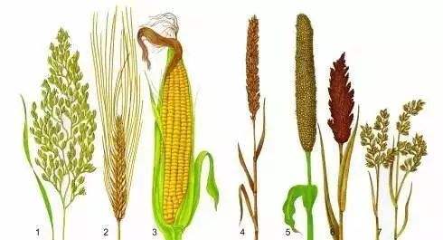 鍥涗綋涓嶅嫟浜旇胺涓嶈瘑鍏暅涓嶅垎,鍥涗綋涓嶅嫟浜旇胺涓嶅垎鍏暅涓嶅垎