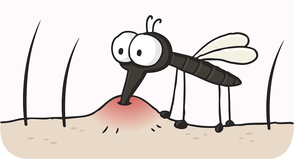 为什么有些人更容易被蚊子叮,为什么有人更容易被蚊子叮