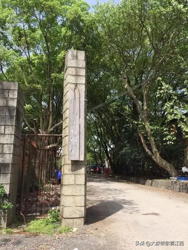 南昌灯泡厂摄影,南昌灯泡厂子弟学校