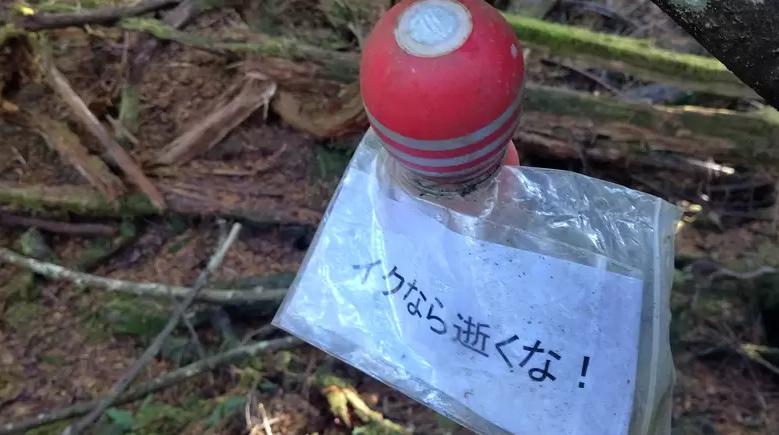 揭秘日本自杀森林:每年数百人上吊自杀,有人专门去捡尸体