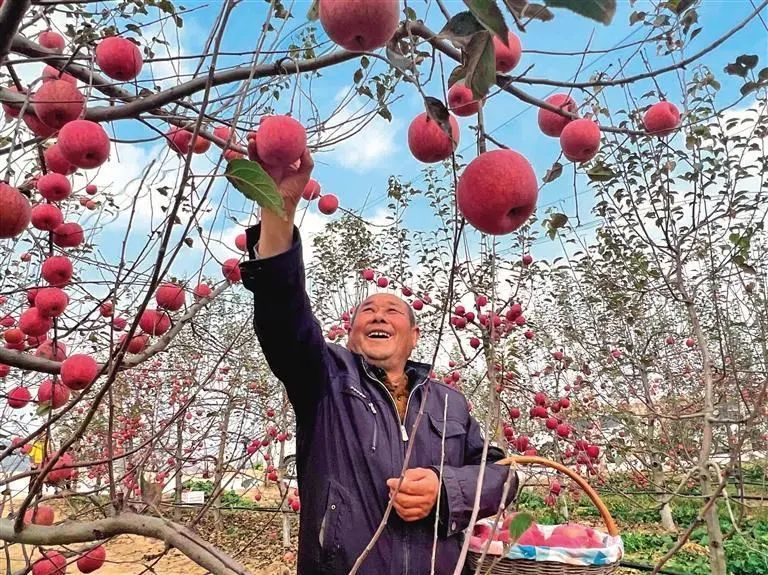 南沟村脱贫攻坚,济源市承留镇南沟村