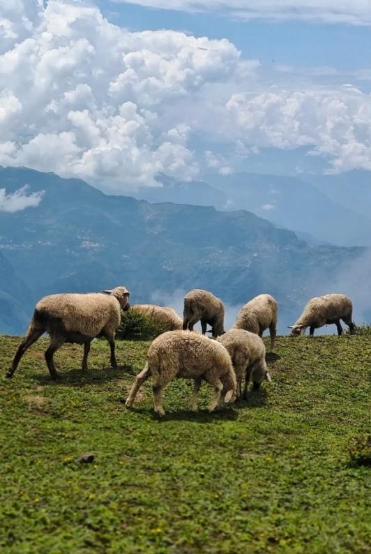 昭通大山包一览众山,昭通市昭阳区大山包乡