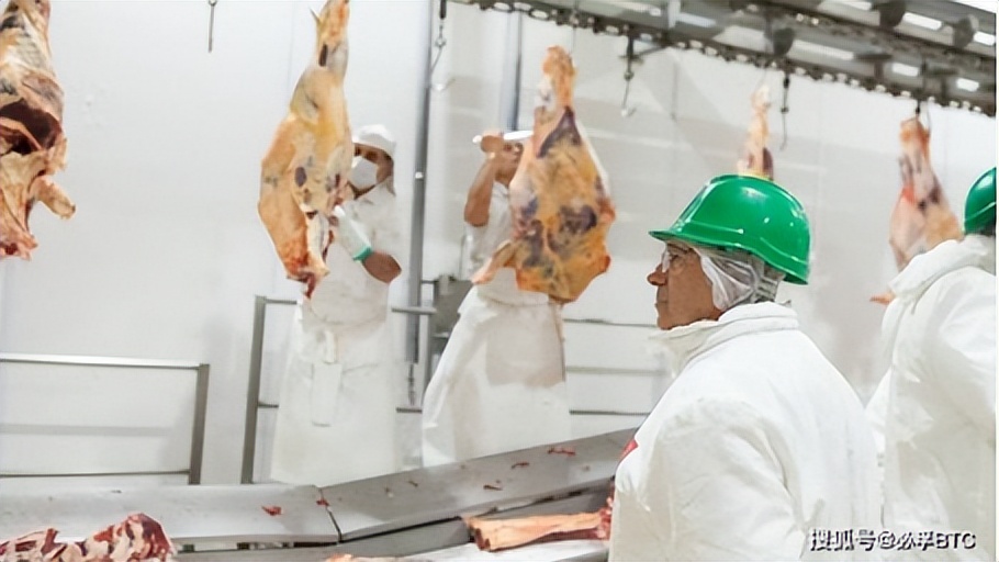 足球世界杯菜品,足球世界杯十大看点