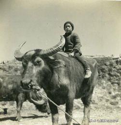 考进清华留美博士，放牛娃的人生比学历更有看点