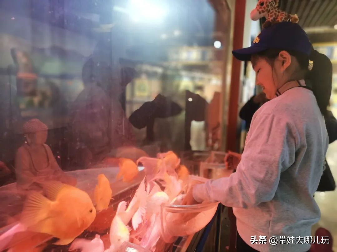 天津海昌极地海洋公园冬天营业吗,天津海昌极地海洋公园游玩攻略