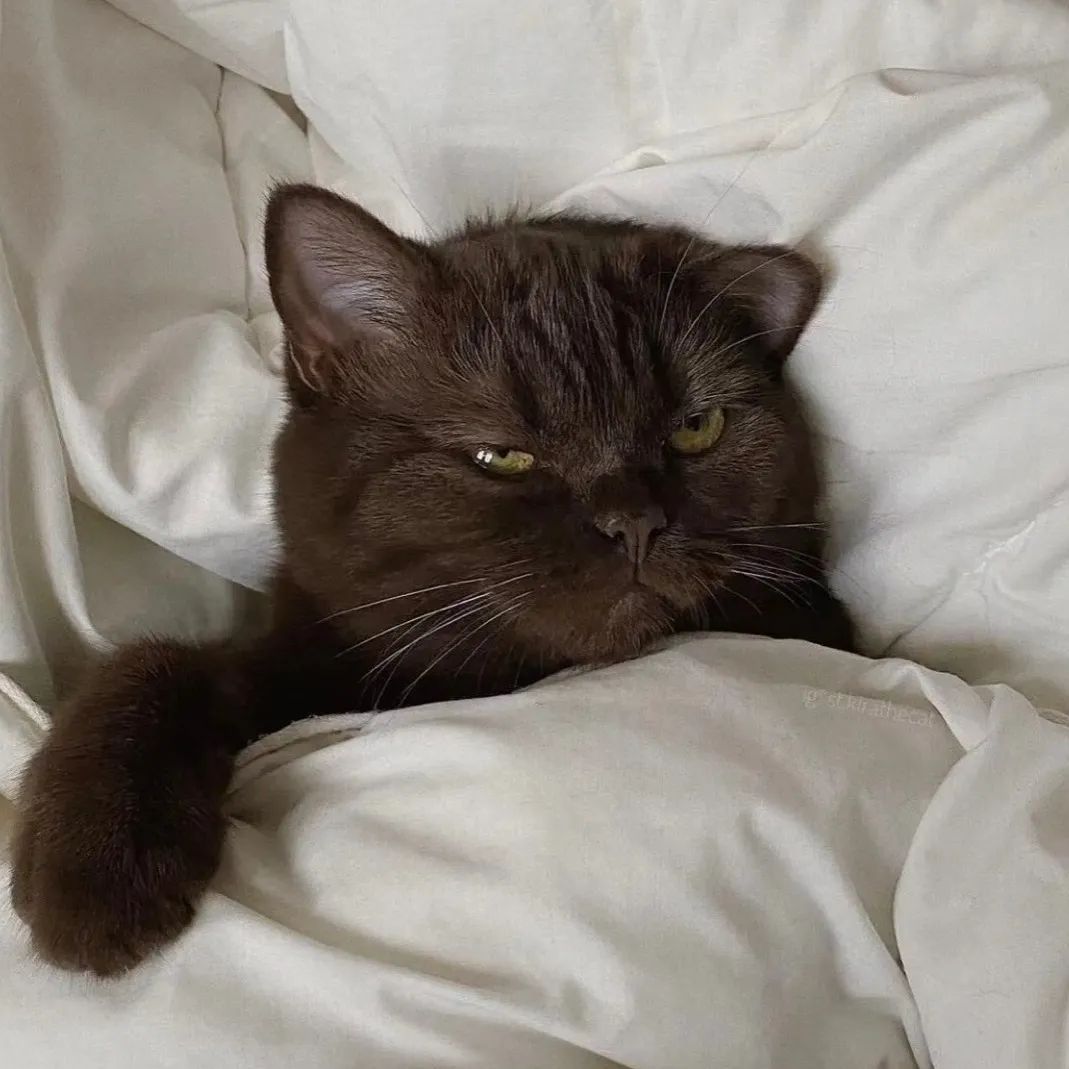 头像好看系列,头像好看的图案