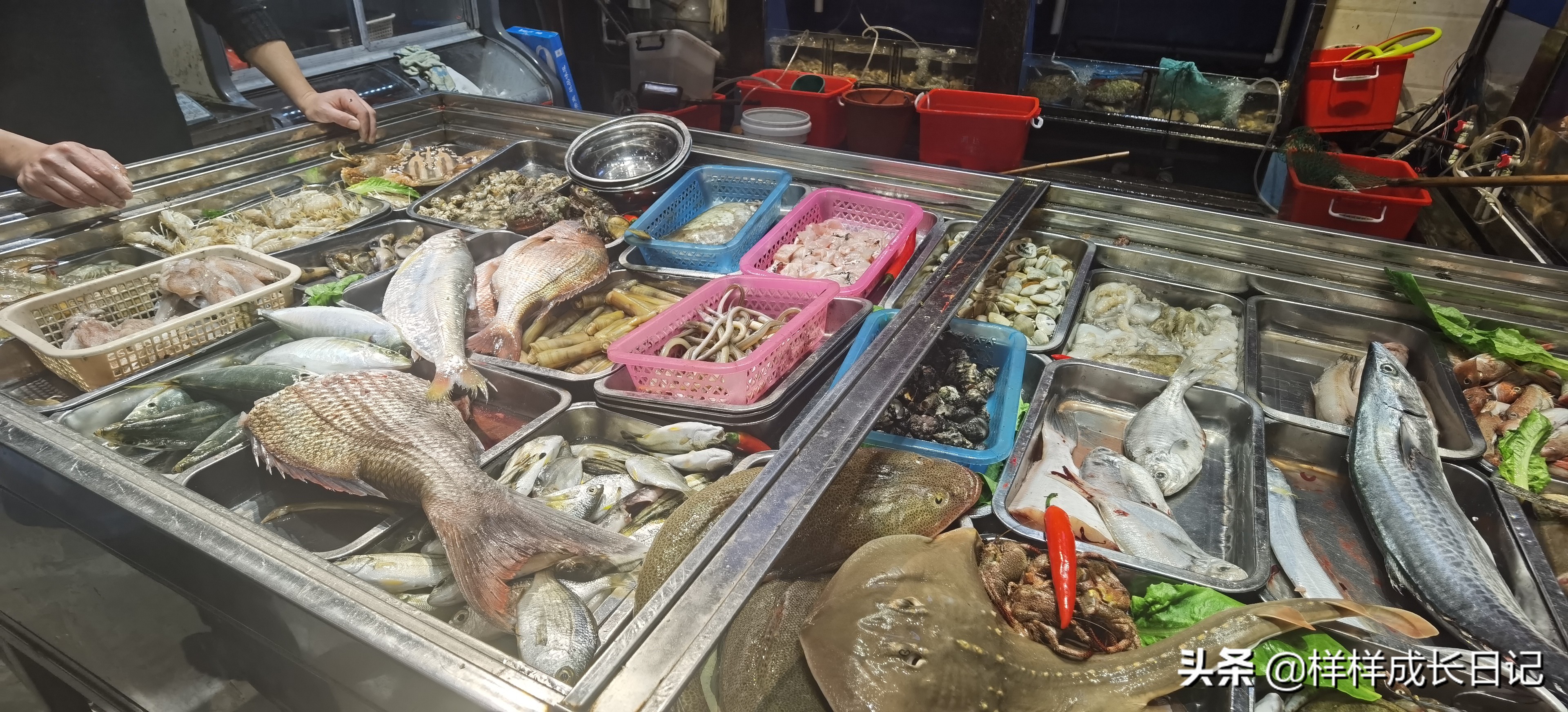 中国最美海岛漳州东山岛,福建沿海自驾游的小岛