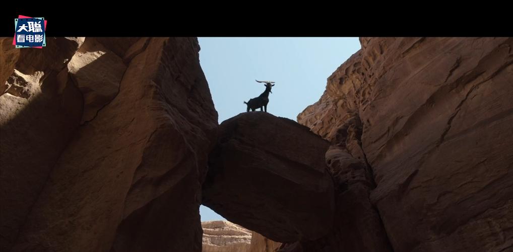 鏈堝厜楠戝＋椹厠涓庡彶钂傛枃,鏈堝厜楠戝＋椹彲