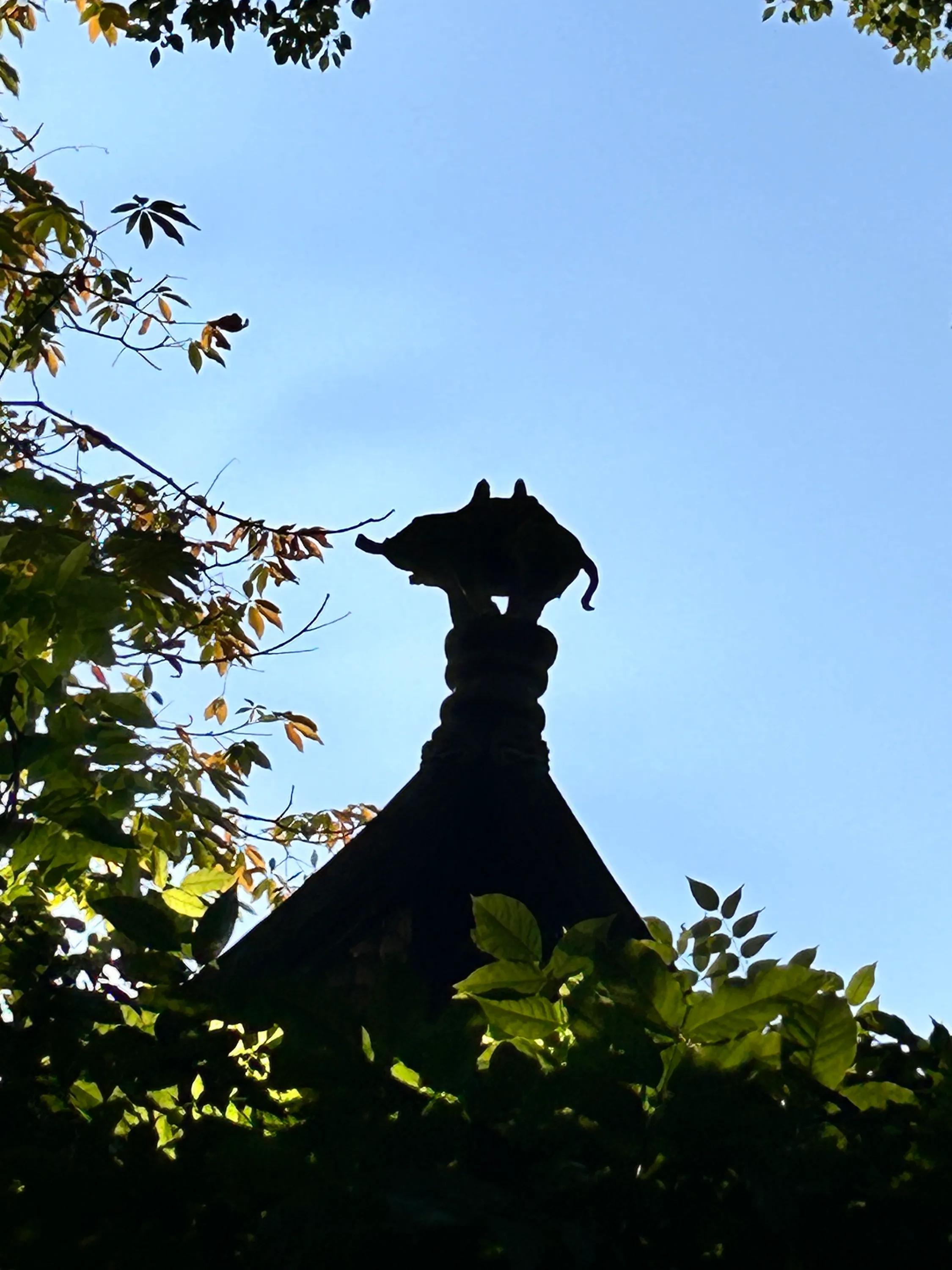 青浦古典园林图片,曲水园上海五大古园林之一