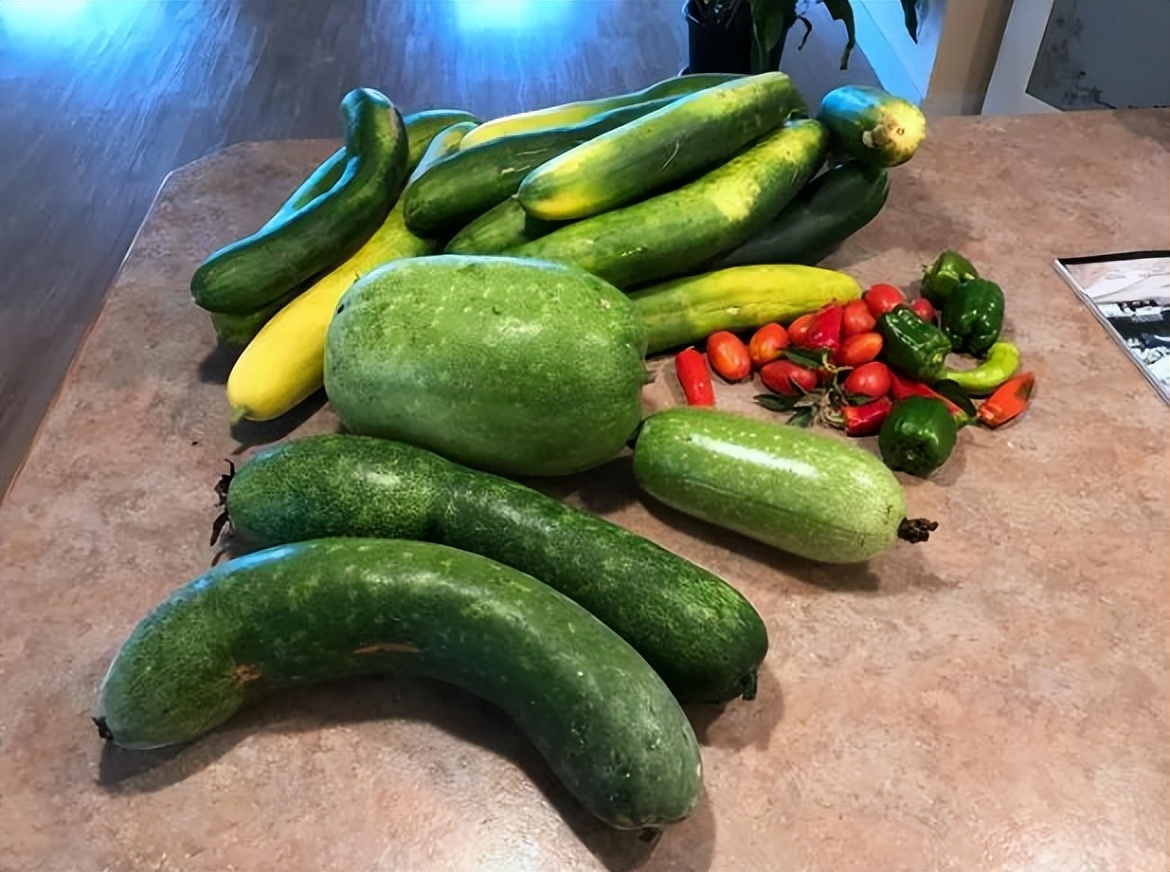 中国美女农场,中国女农场主