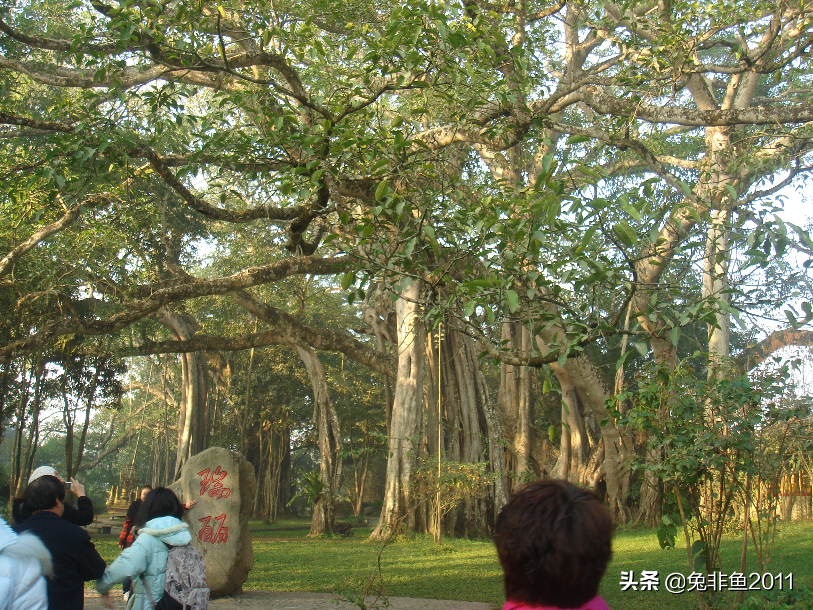 云南腾冲滇峰之旅,云南瑞丽中缅边境一日游