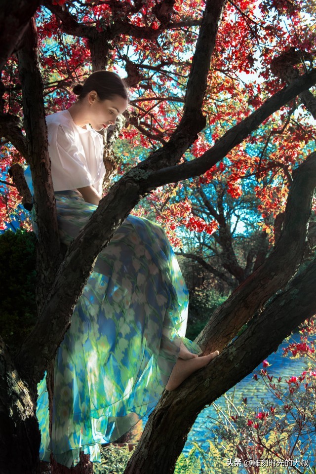 ai摄影师获奖,ai和摄影结合的摄影师