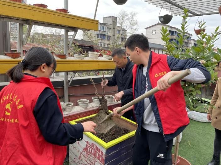 居民动手diy打造心中最美阳台,社区居民参与共同打造文明院落