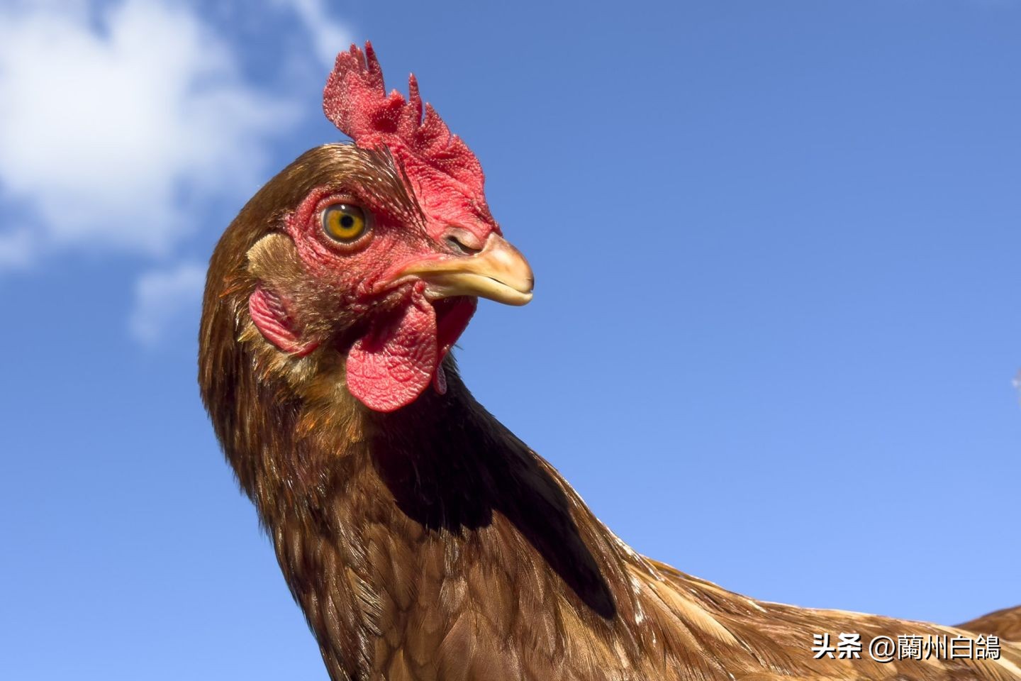 iphone14promax1tb暗紫色开箱测评,iphone14promax史低多少