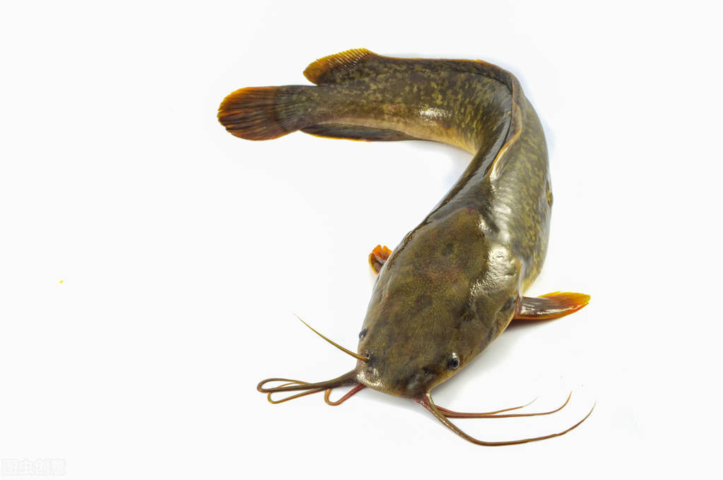 西游记里的妖魔鬼怪有多少个,西游记里的妖魔鬼怪