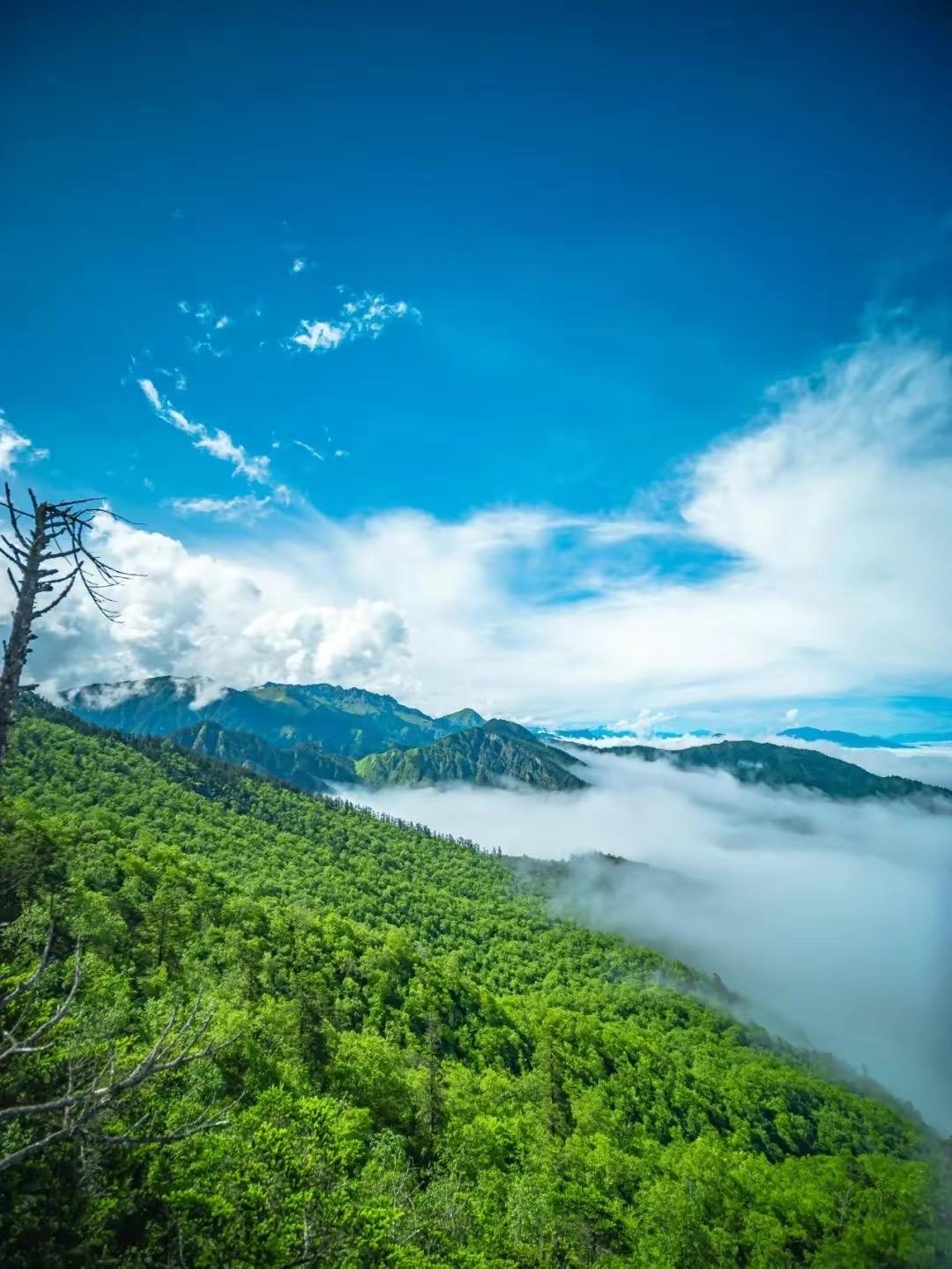 9块9玩转国家5a级景区,细数那些适合带孩子玩的免费景区