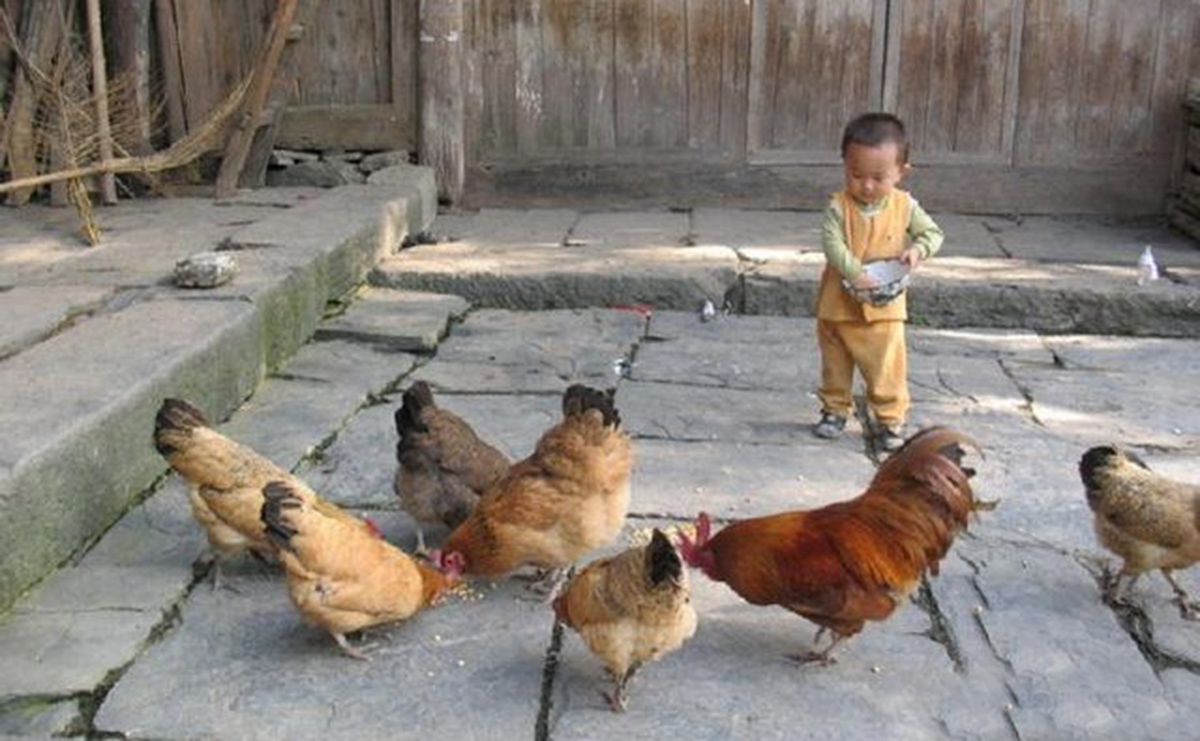 虱子在头上有什么危害,虱子对人体有哪些害处