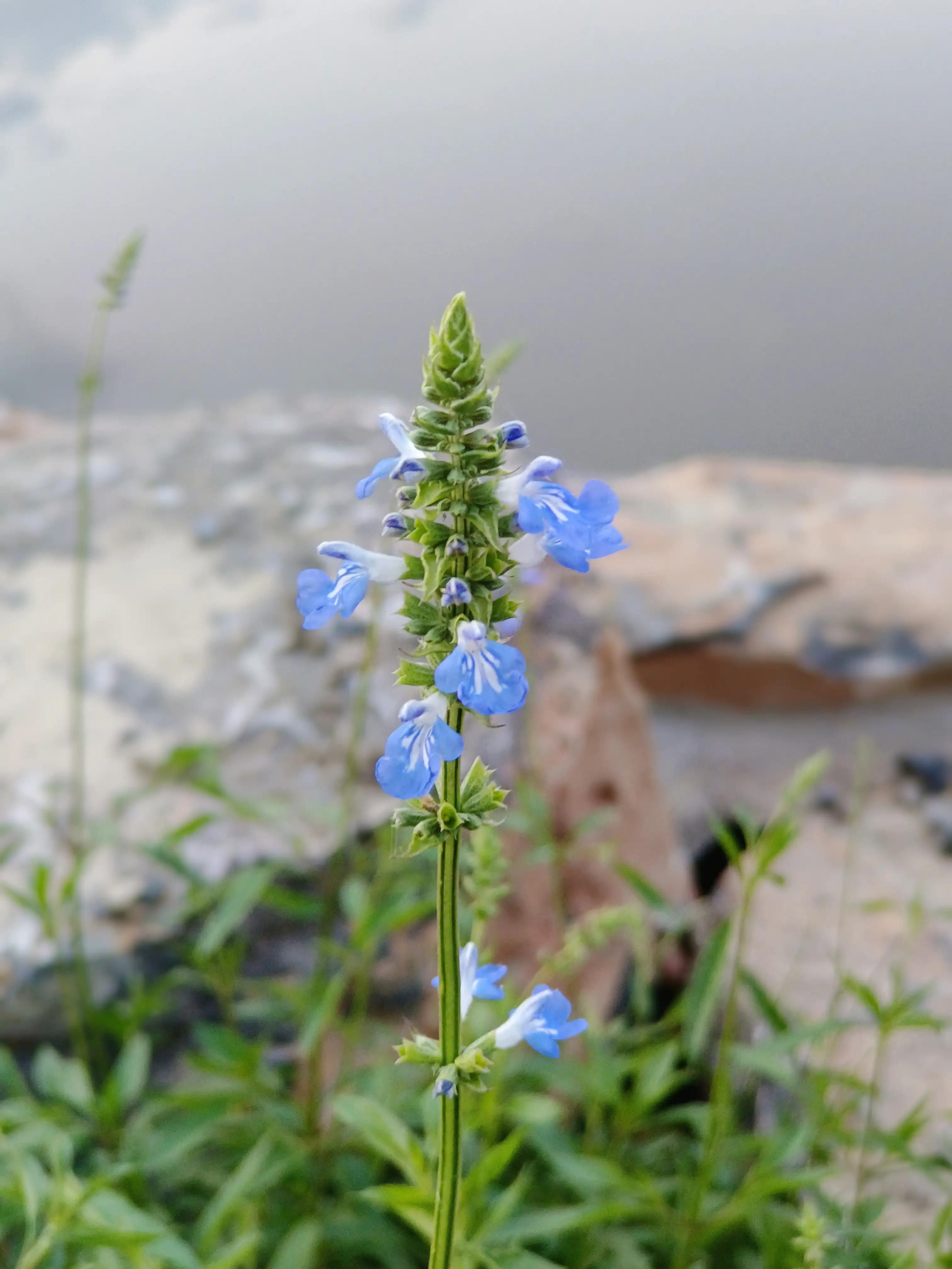 代沟是啥 (何为代沟)