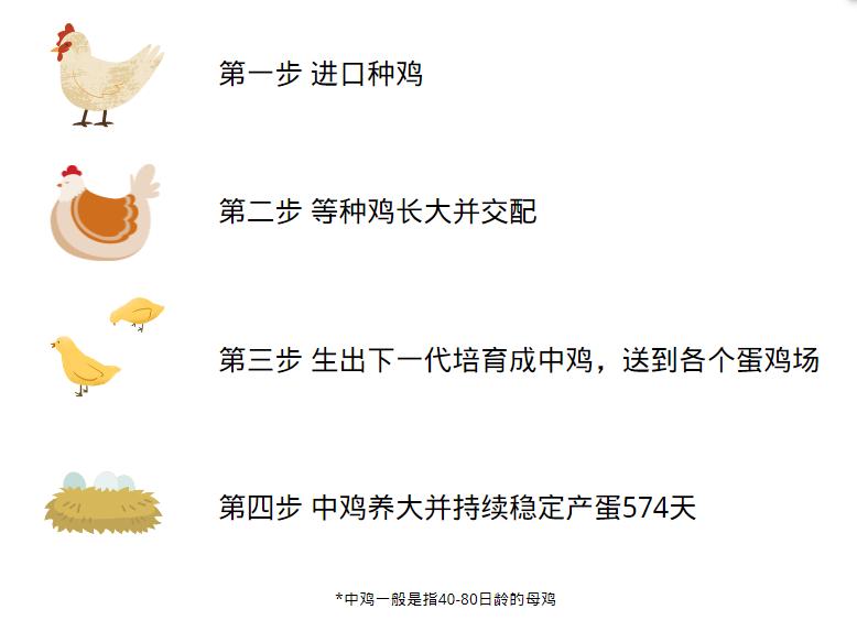 蛋荒谜题：台湾为什么会缺鸡蛋？