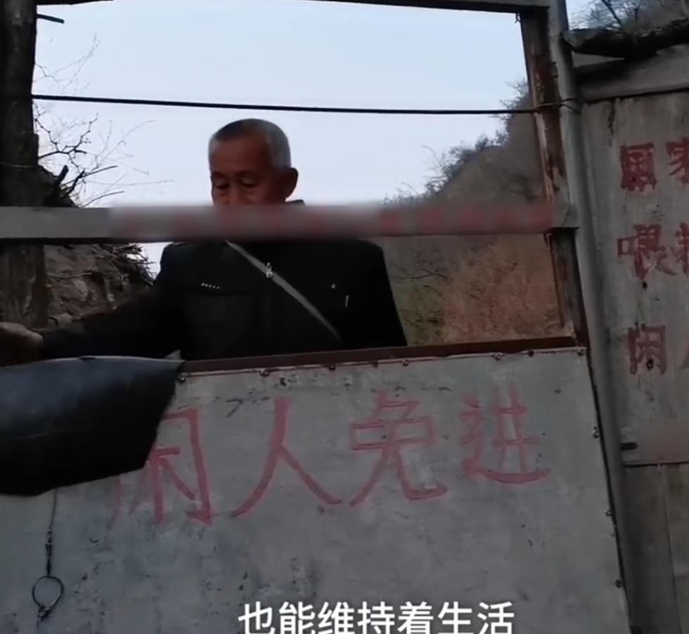 老人4年养了40只凤凰,山西大爷养凤凰4年40只